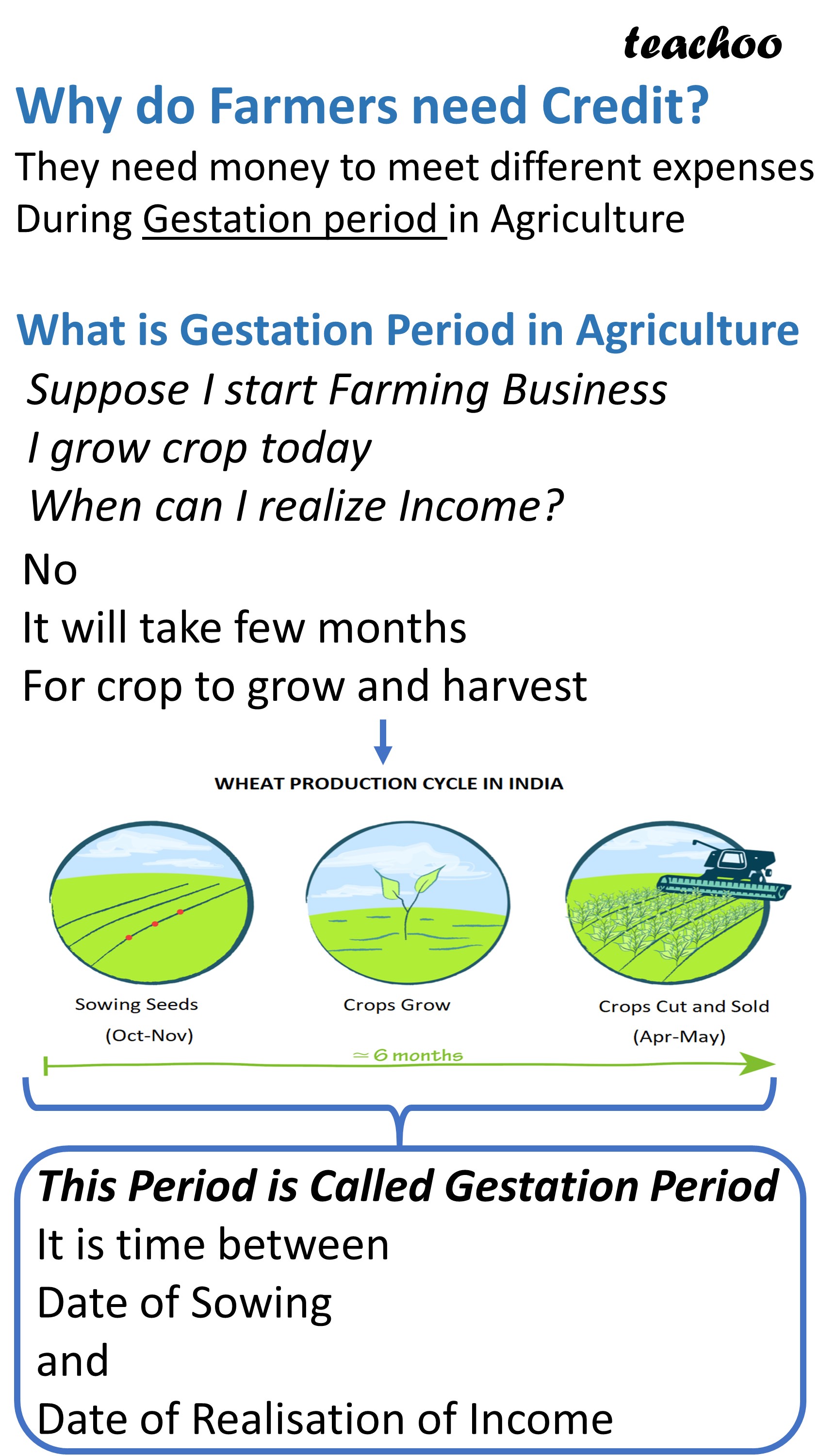 class-12-credit-and-marketing-in-rural-areas-economics