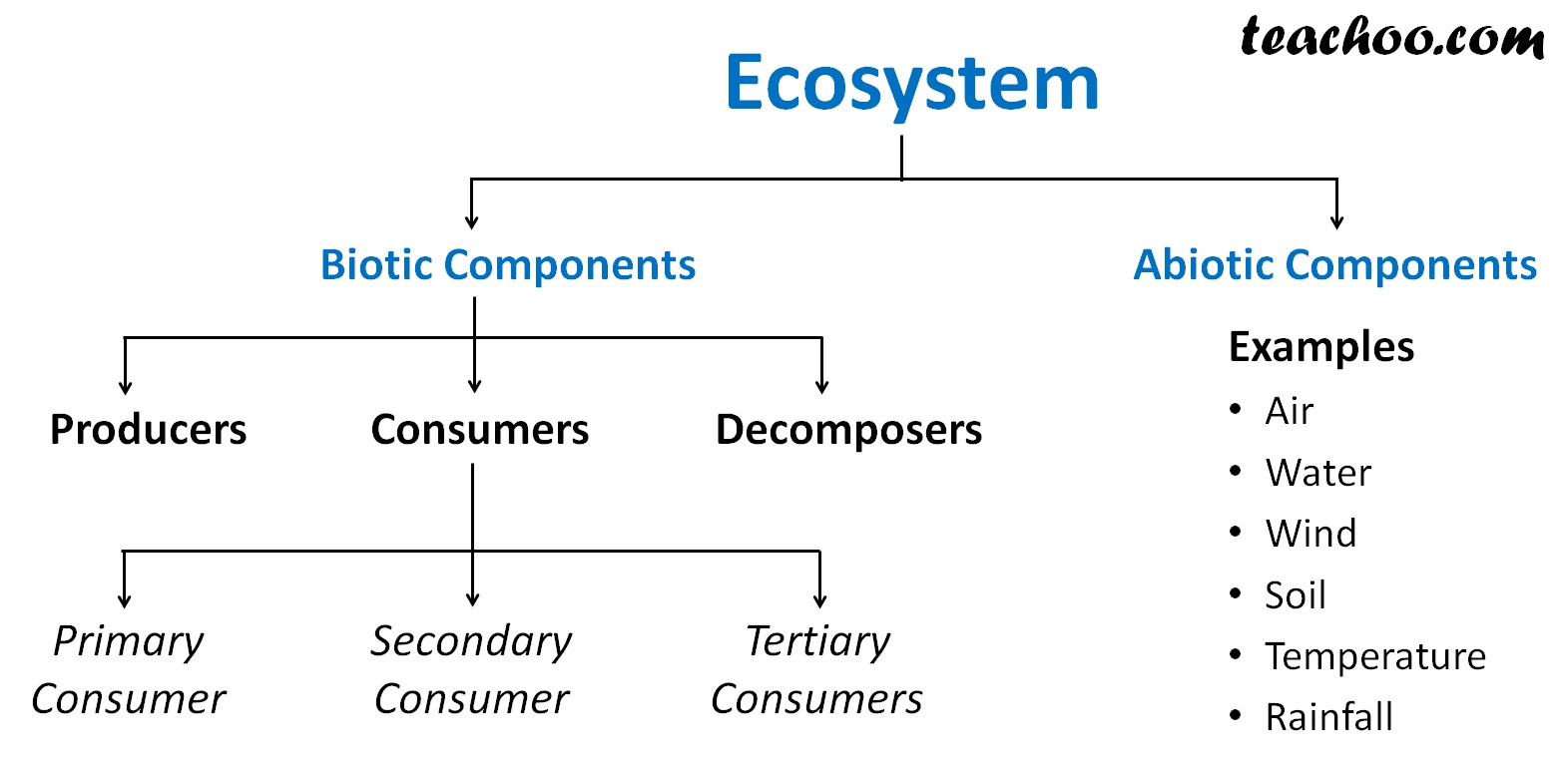 Components of Ecosystem Biotic and Abiotic Teachoo Concepts