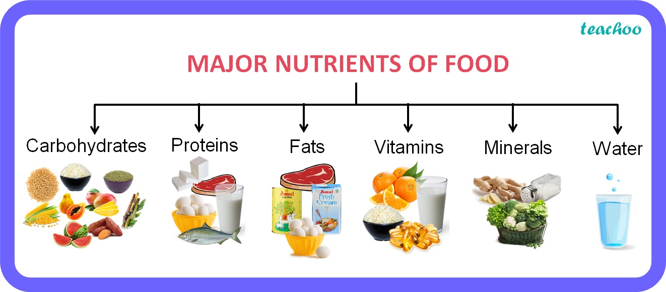 Class 6 Science Name The Major Nutrients In Our Food Teachoo