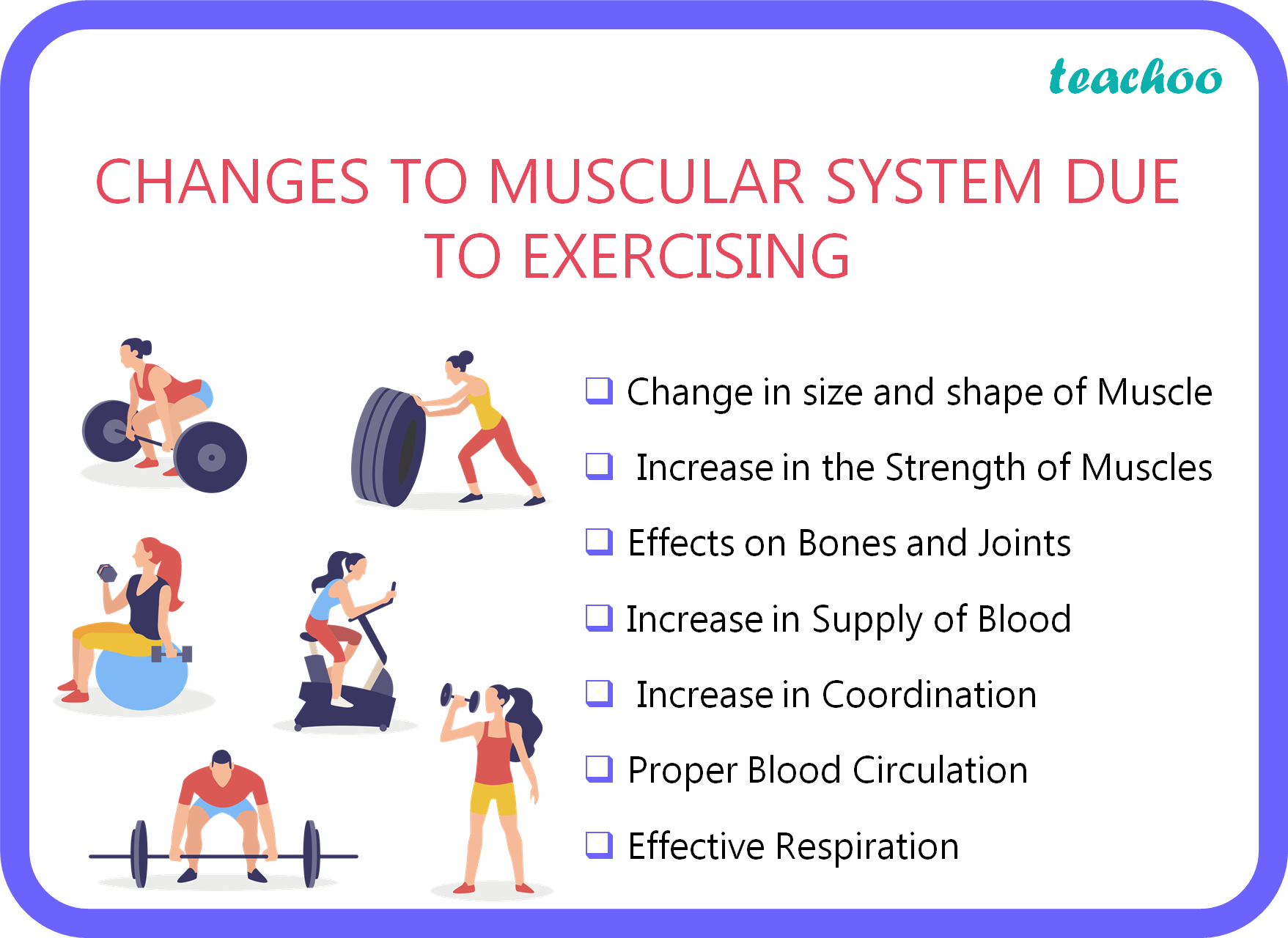 [Term 2] List Any Four Changes Happening In The Muscular System Due