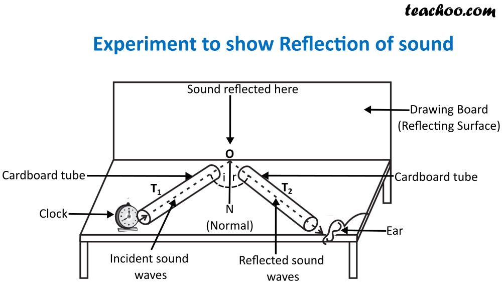 sound absorption and reflection experiment