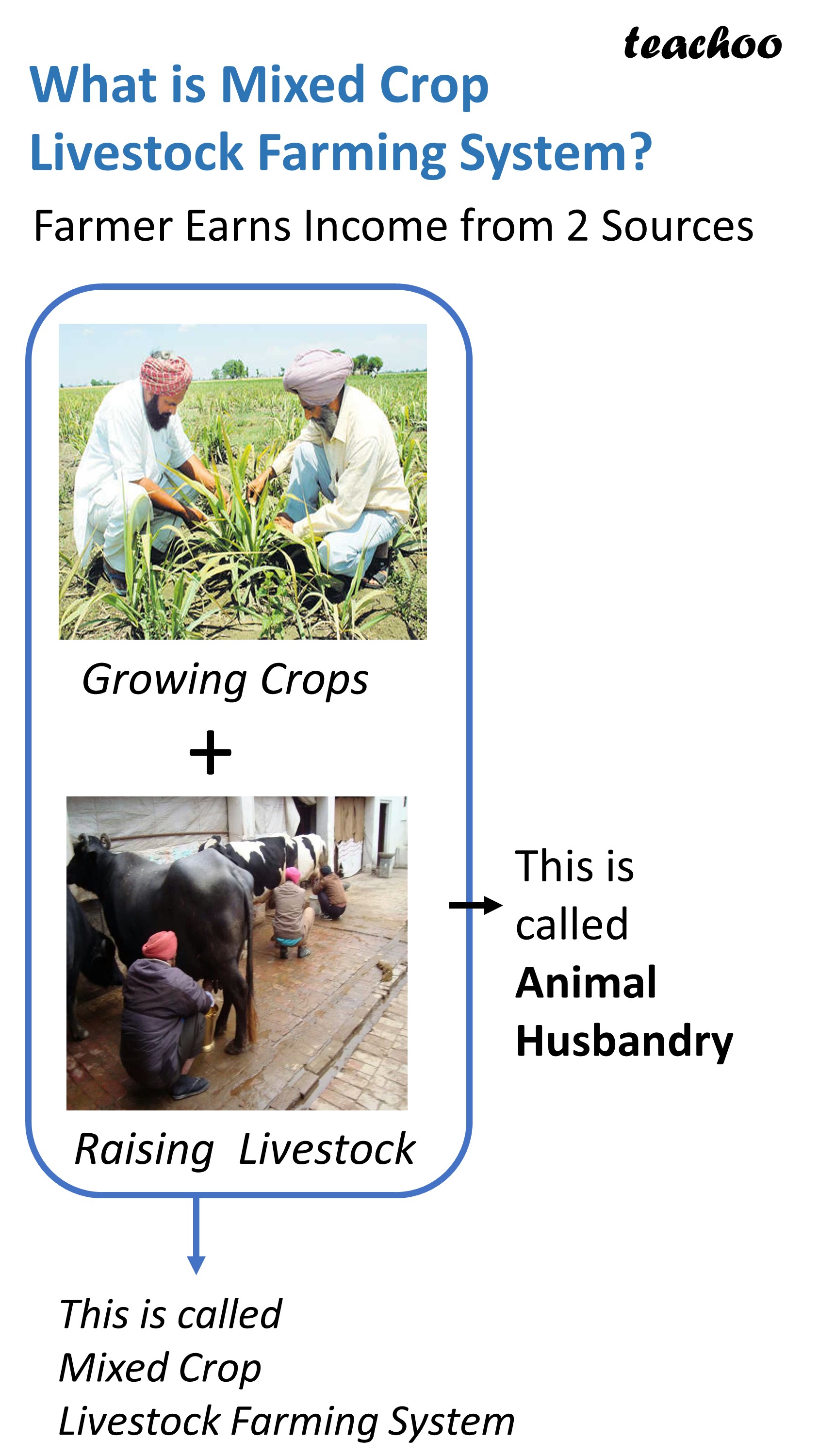 What Is Animal Husbandry Meaning In Hindi