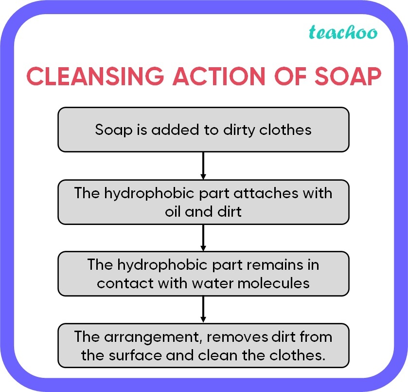 class-10-with-help-of-a-diagram-explain-cleansing-action-of-soap