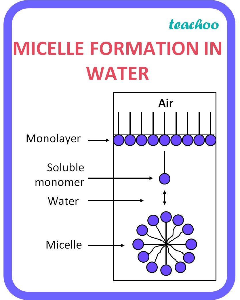 why-does-micelle-formation-take-place-when-soap-is-added-to-water