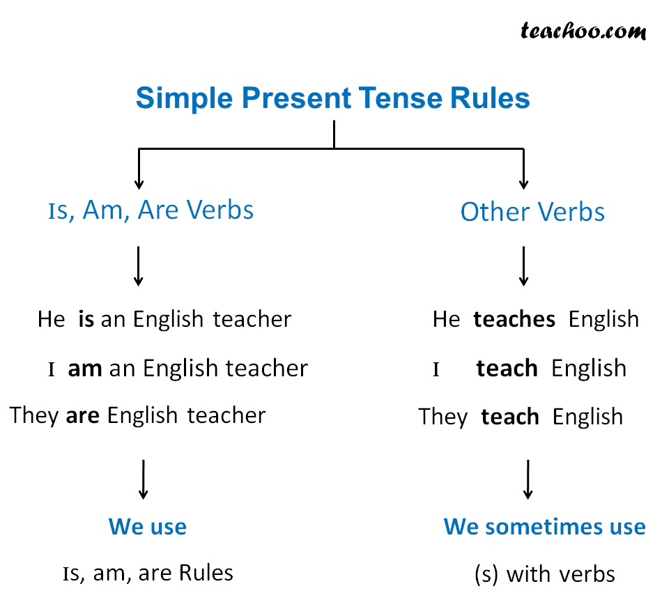 Simple Present Tense Verbs And Tenses