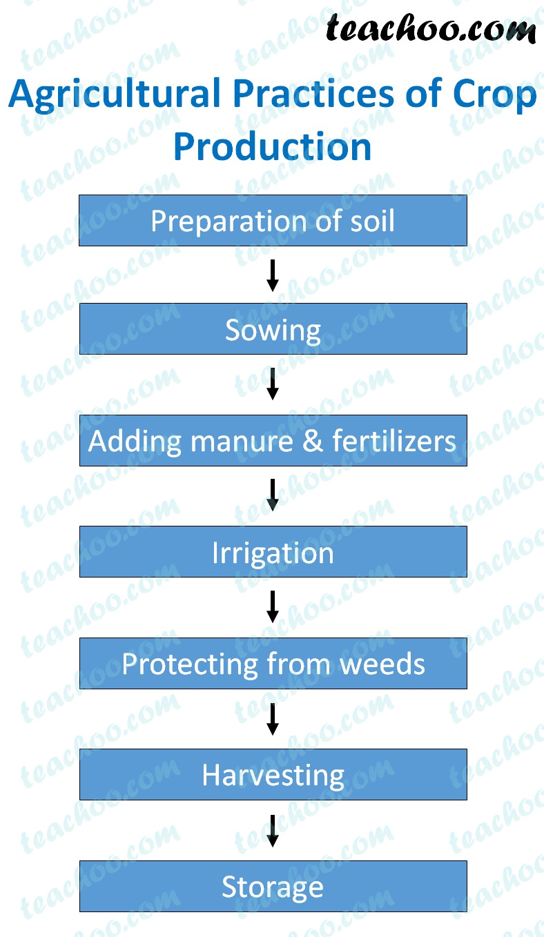 Different Types Of Agricultural Practices To Produce Crops