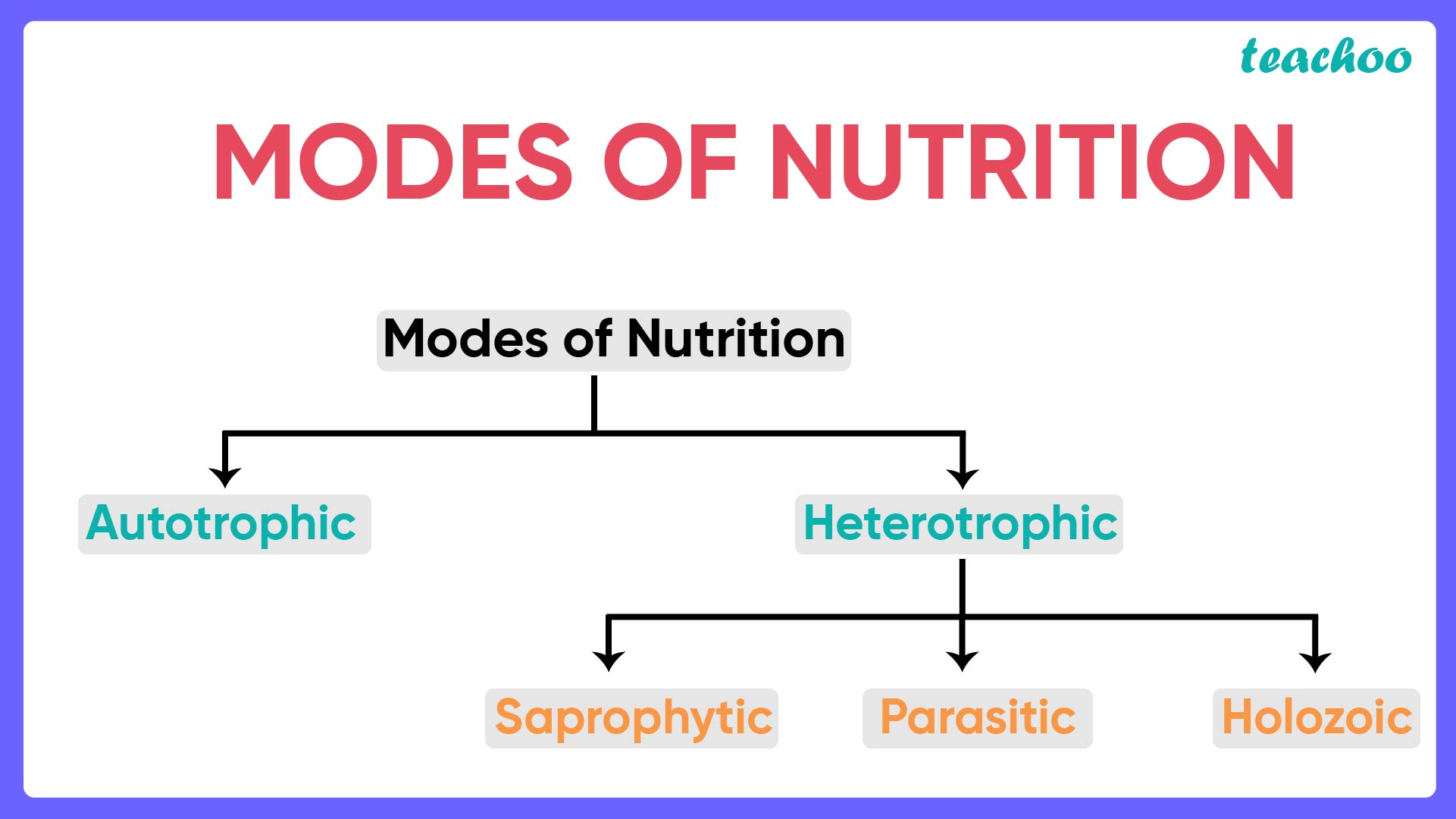 What Is Autotrophic And Heterotrophic Nutrition Class 10