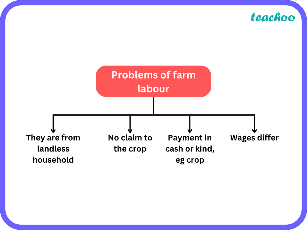 what-problems-do-farm-laborers-face-in-terms-of-unemployment-explain