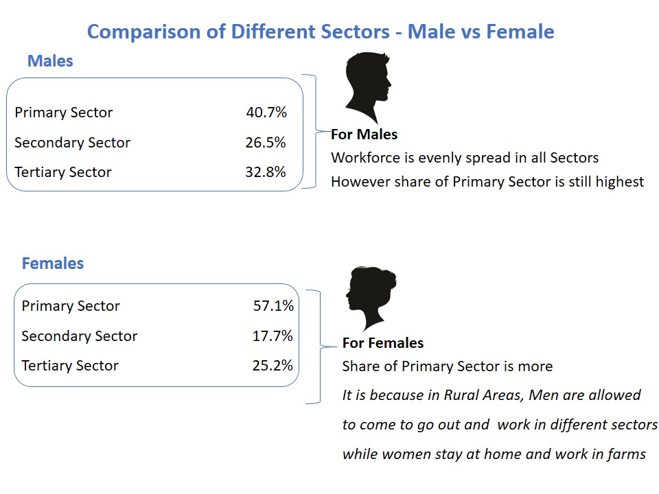 Comparison of Different Sectors - Male vs Female - Teachoo.JPG
