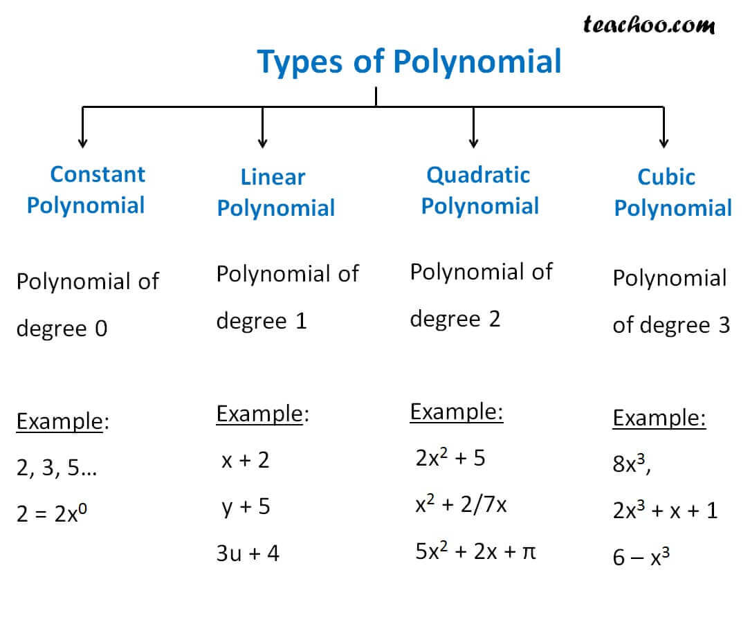 How Many Type Of Polynomial Equation