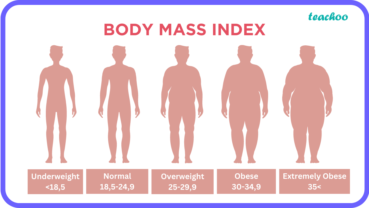 [Class 10] Suggest any three ways to maintain Body Mass Index (BMI)