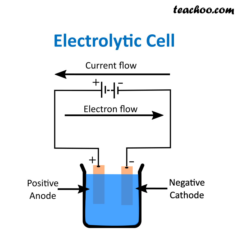 Draw A Neat Diagram Of Electrolytic Cell Used In The Class 12 Chemistry ...