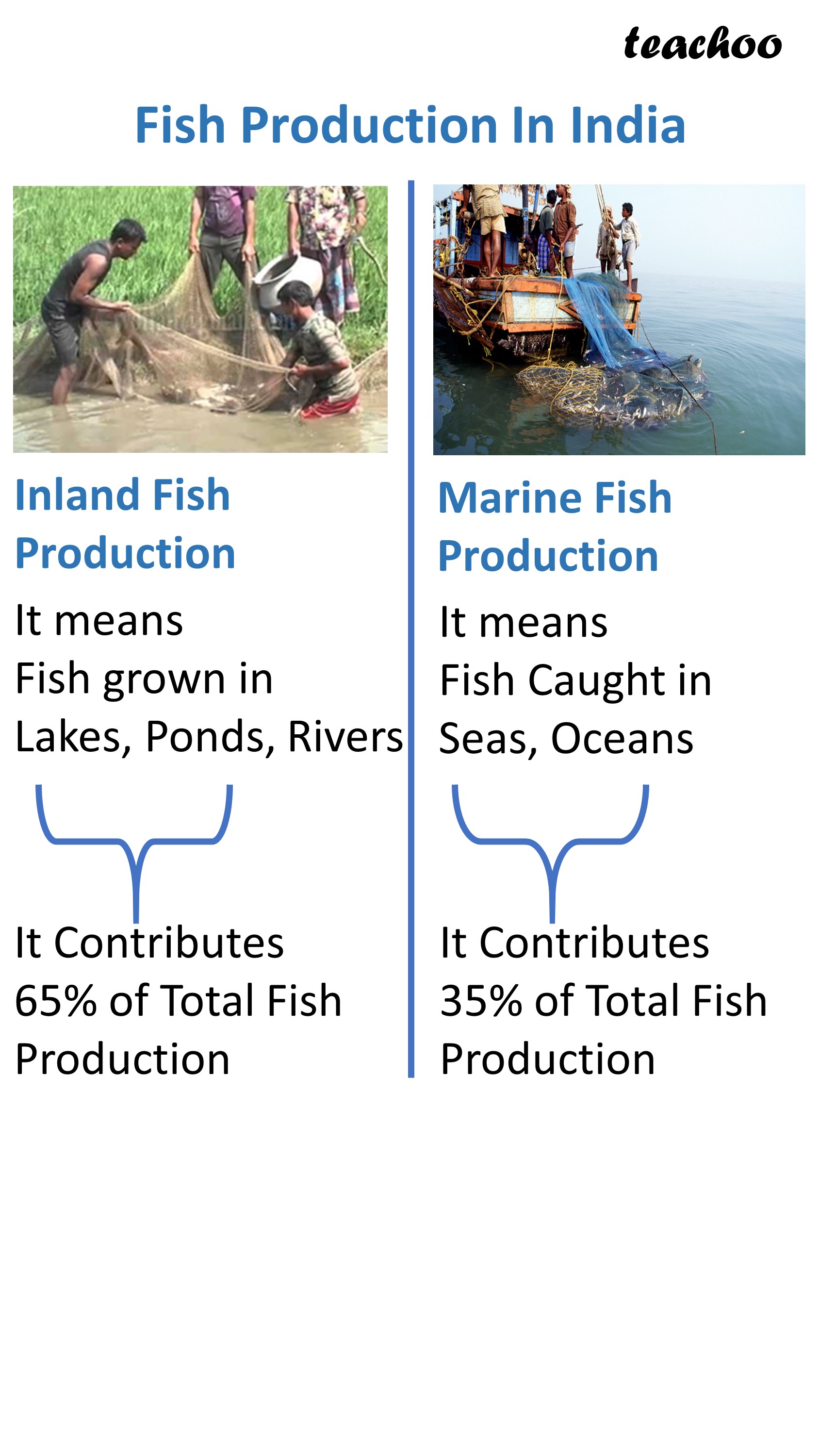 Share of inland and Marine Fish Production in india - Teachoo.JPG