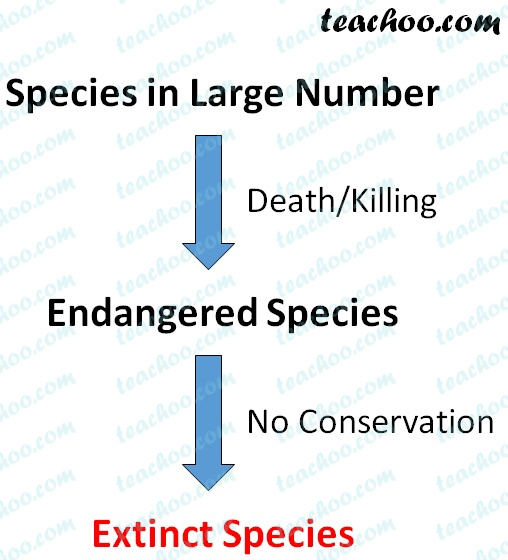 Extinct and Endangered Species - Meaning, Difference - Teachoo