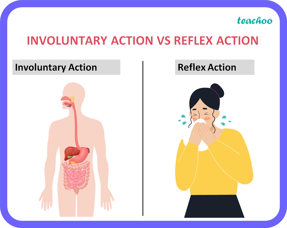 [Bio] How are involuntary & reflex actions different from each other?