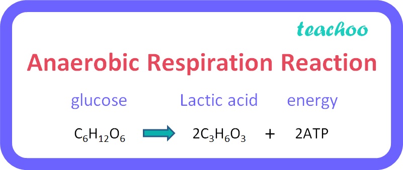 Anaerobic Respiration Reaction - Teachoo.jpg
