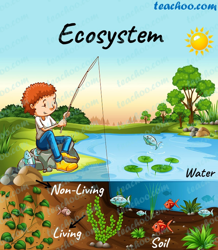 ecosystem-definition-image-gamesmartz