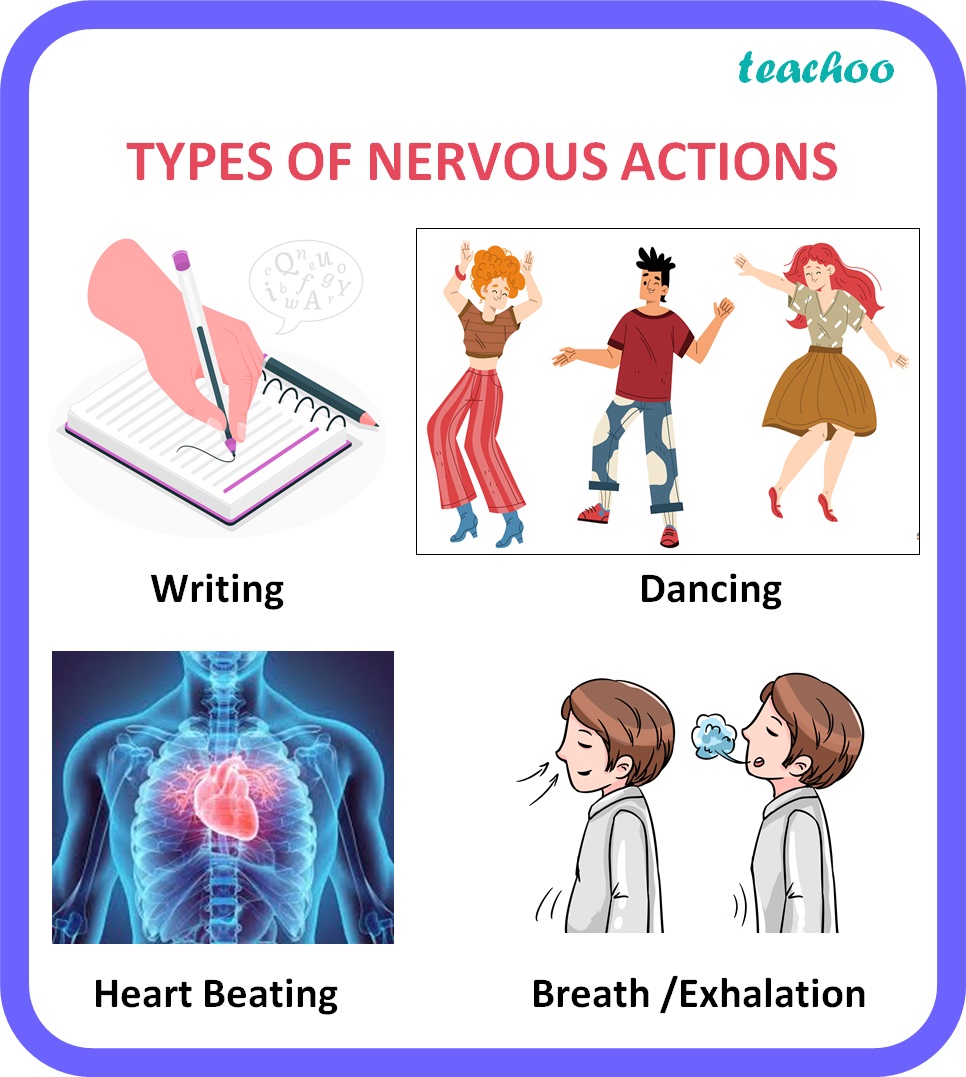 biology-class-10-types-of-nervous-actions-with-examples-teachoo