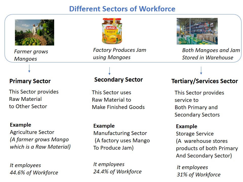 Different Sectors of Workforce - Teachoo.JPG