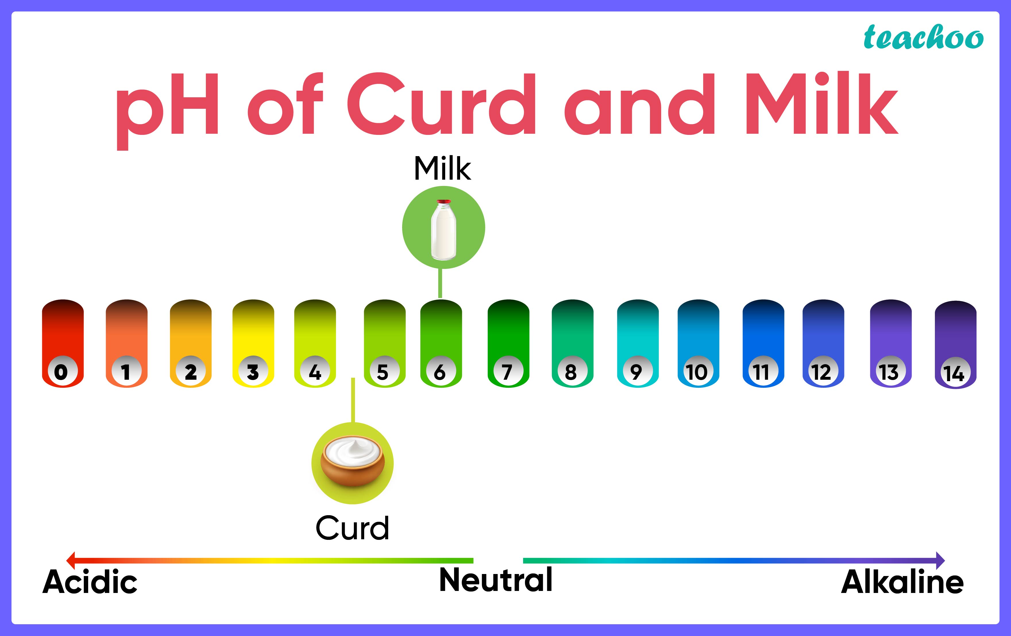 Fresh Milk Has A PH Of 6 How Do You Think The PH Will Change As It   Ph Of Curd And Milk 01 