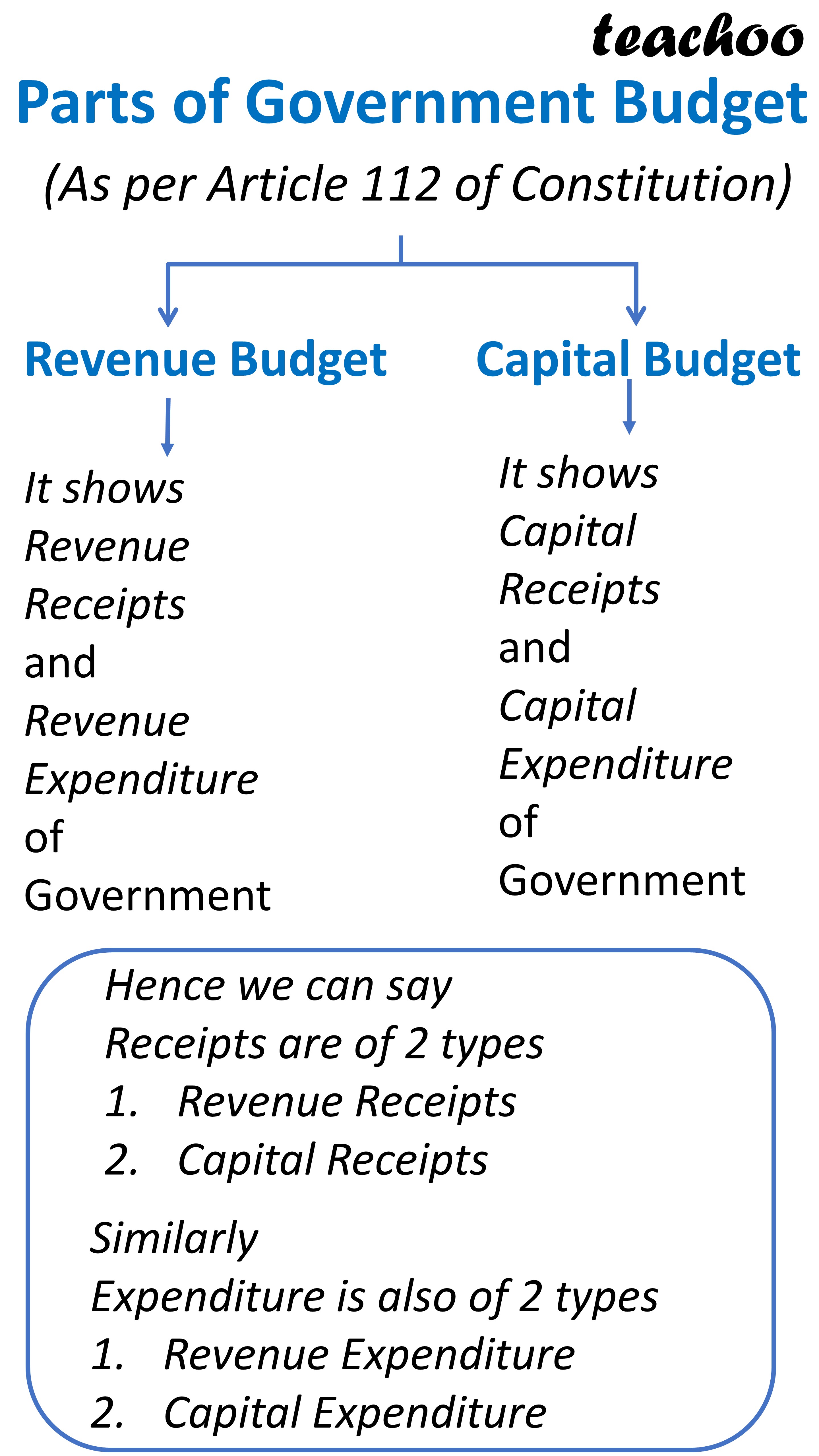 literature review of government budget