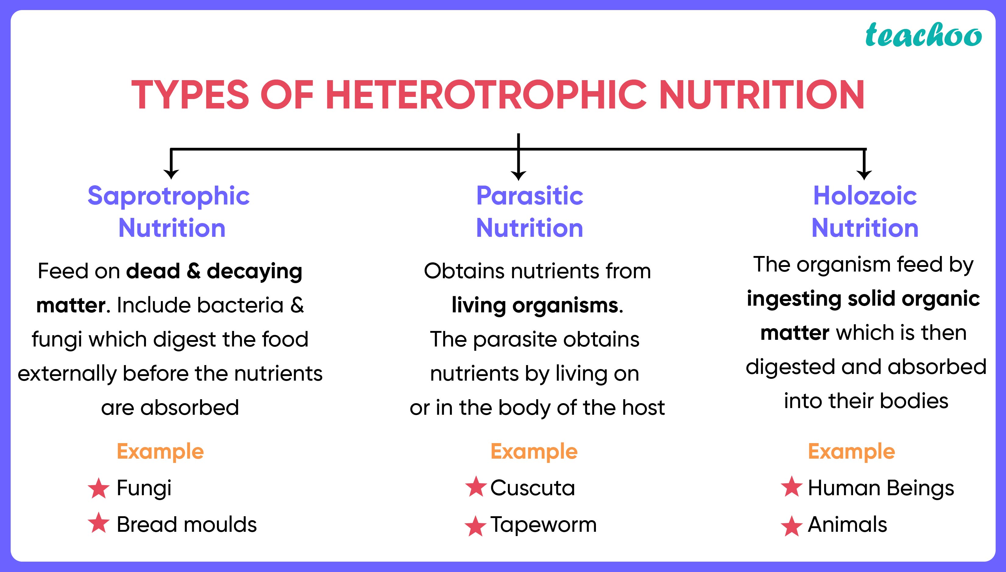 In which of the following groups of organisms, food material is [MCQ]