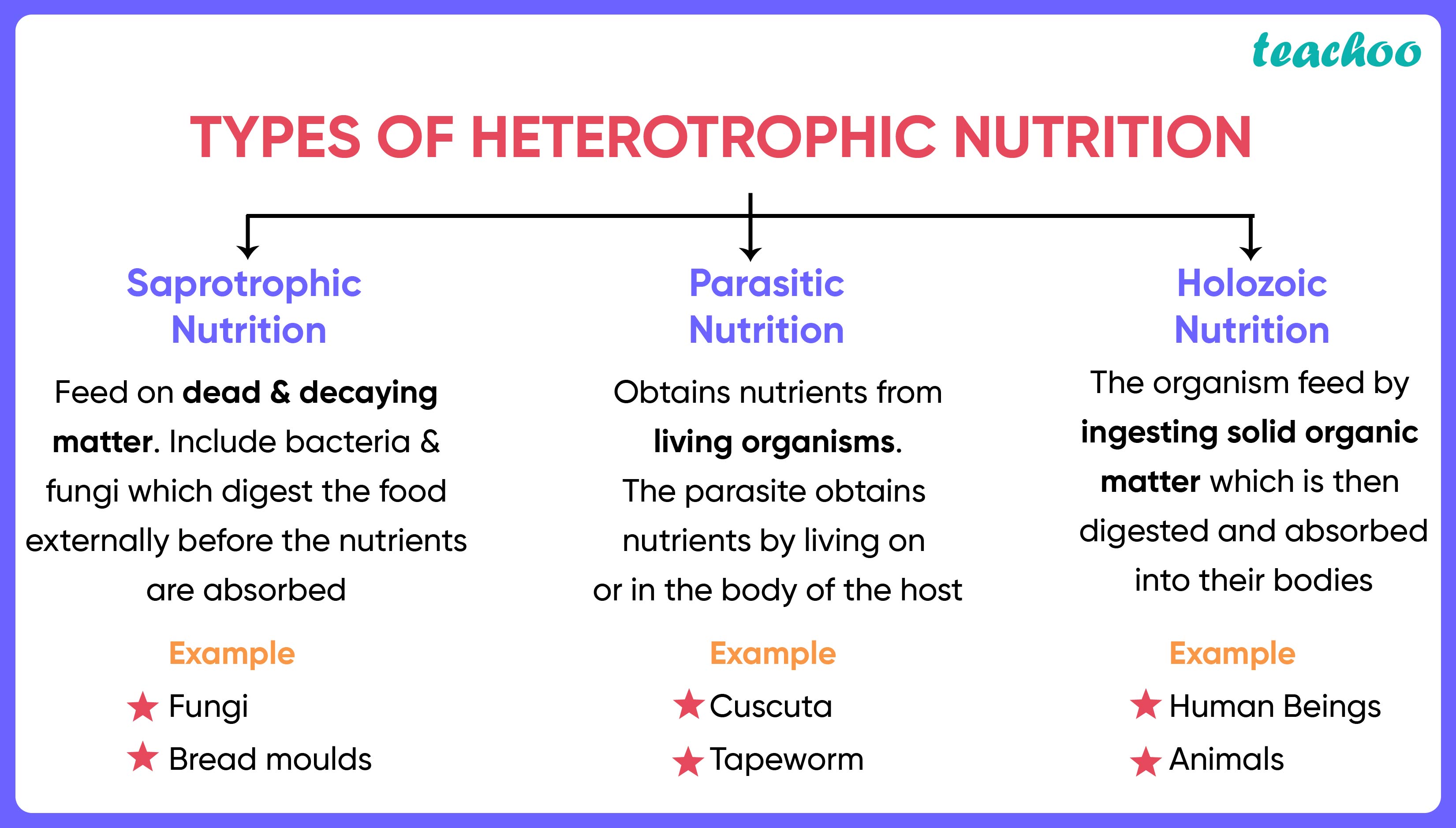 in-which-of-the-following-groups-of-organisms-food-material-is-mcq