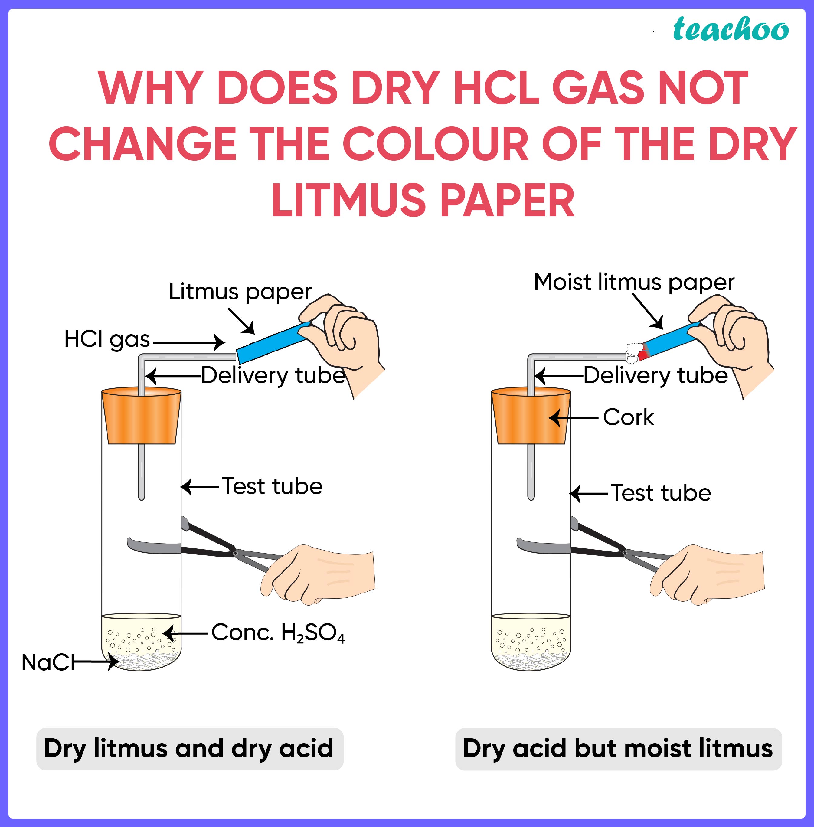 Why Does Dry HCl Gas Not Change The Colour Of Dry Litmus Paper 