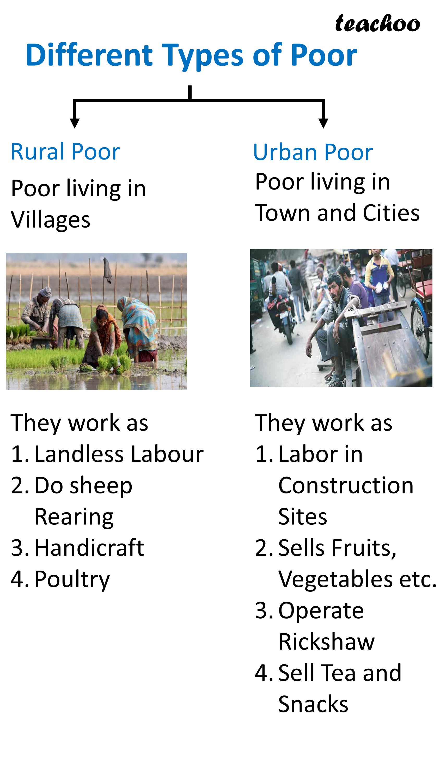 Difference Between Rural Poor And Urban Poor in Table Class 12