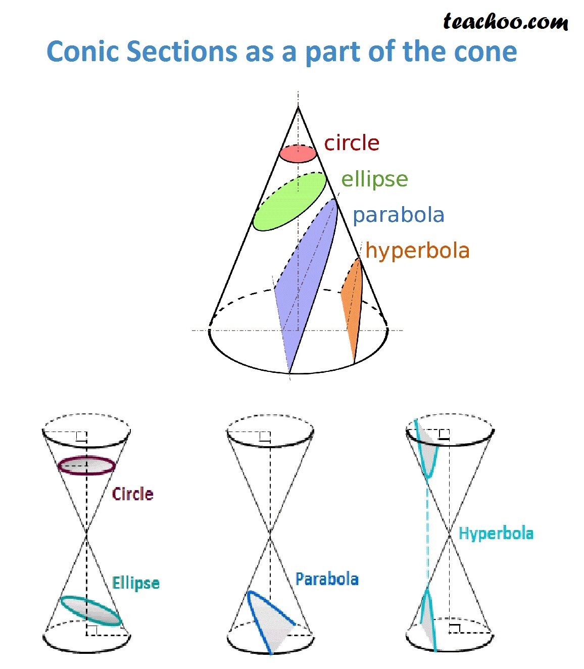 case study questions conic sections class 11