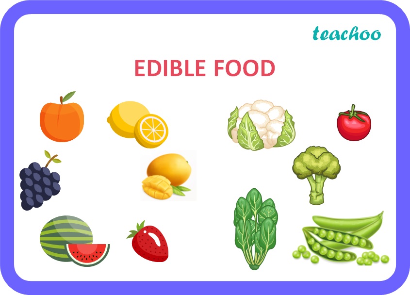 what-are-edible-foods-with-examples-teachoo-concepts