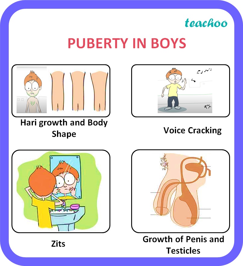 [class 10] What Do You Mean By Puberty How Do Organisms Reproduce