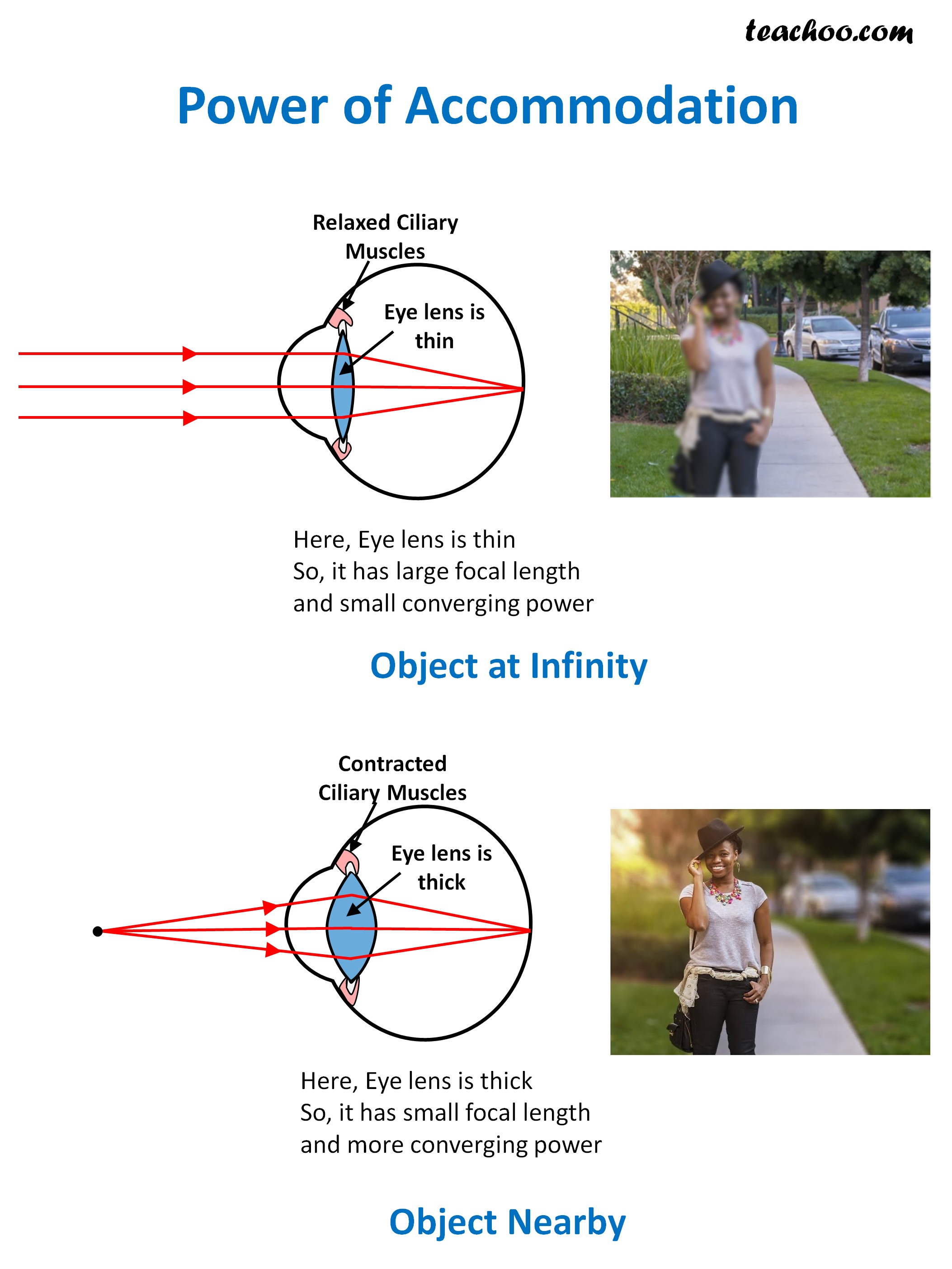 power-of-accommodation-of-eye-definition-and-meaning-teachoo