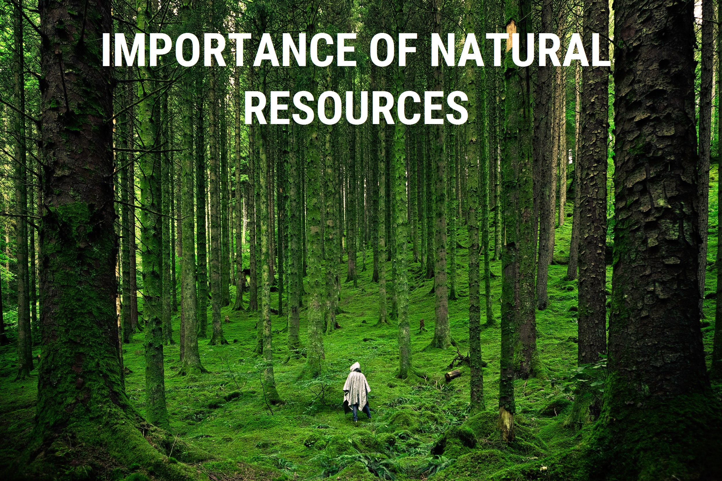 what-is-the-importance-of-natural-resources-why-is-it-necessary-to-co