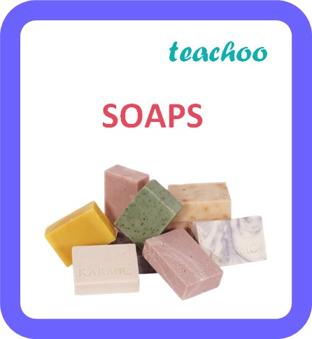SOAPS - Teachoo.jpg