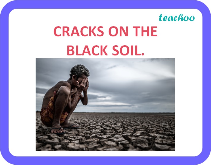 describe-any-three-main-features-of-black-soil-found-in-india