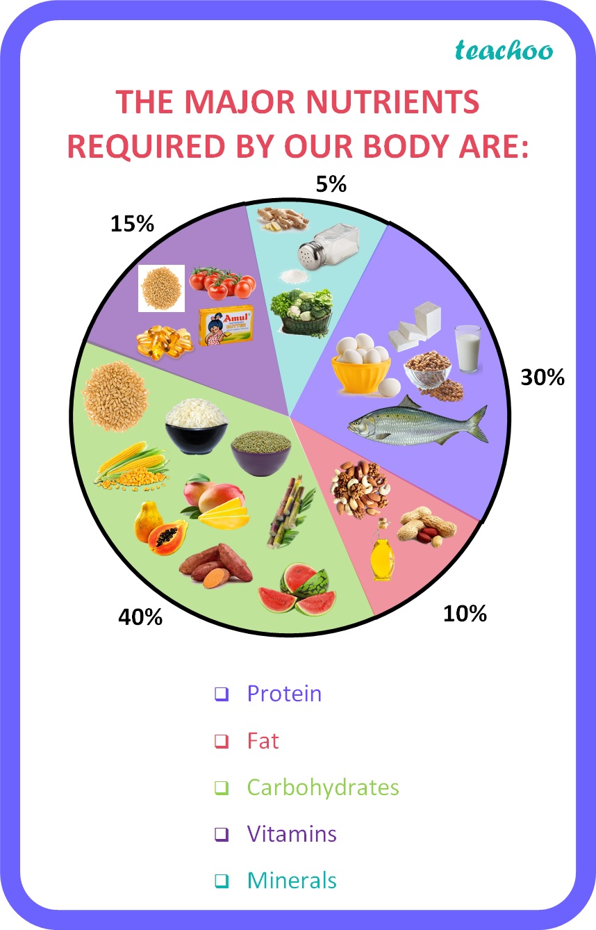 class-6-what-are-the-components-of-food-notes-ncert-solutions