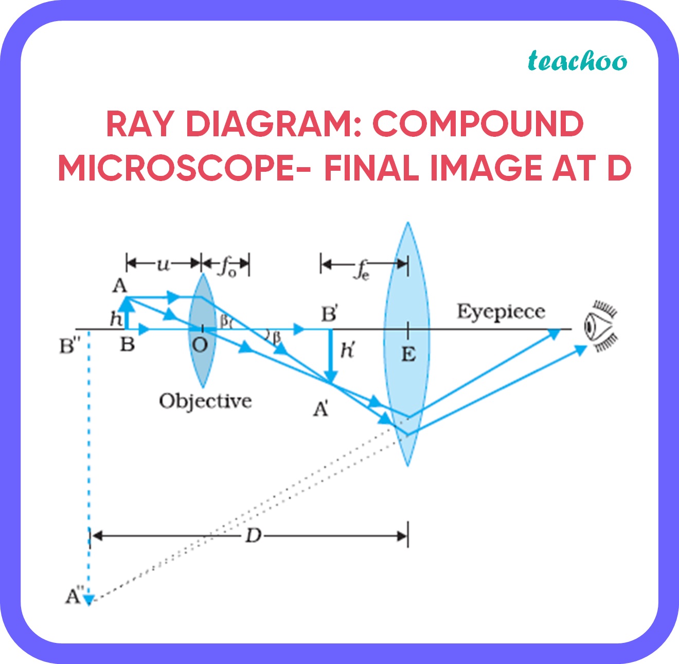 [Term 2] (a) Draw a ray diagram of compound microscope for final image