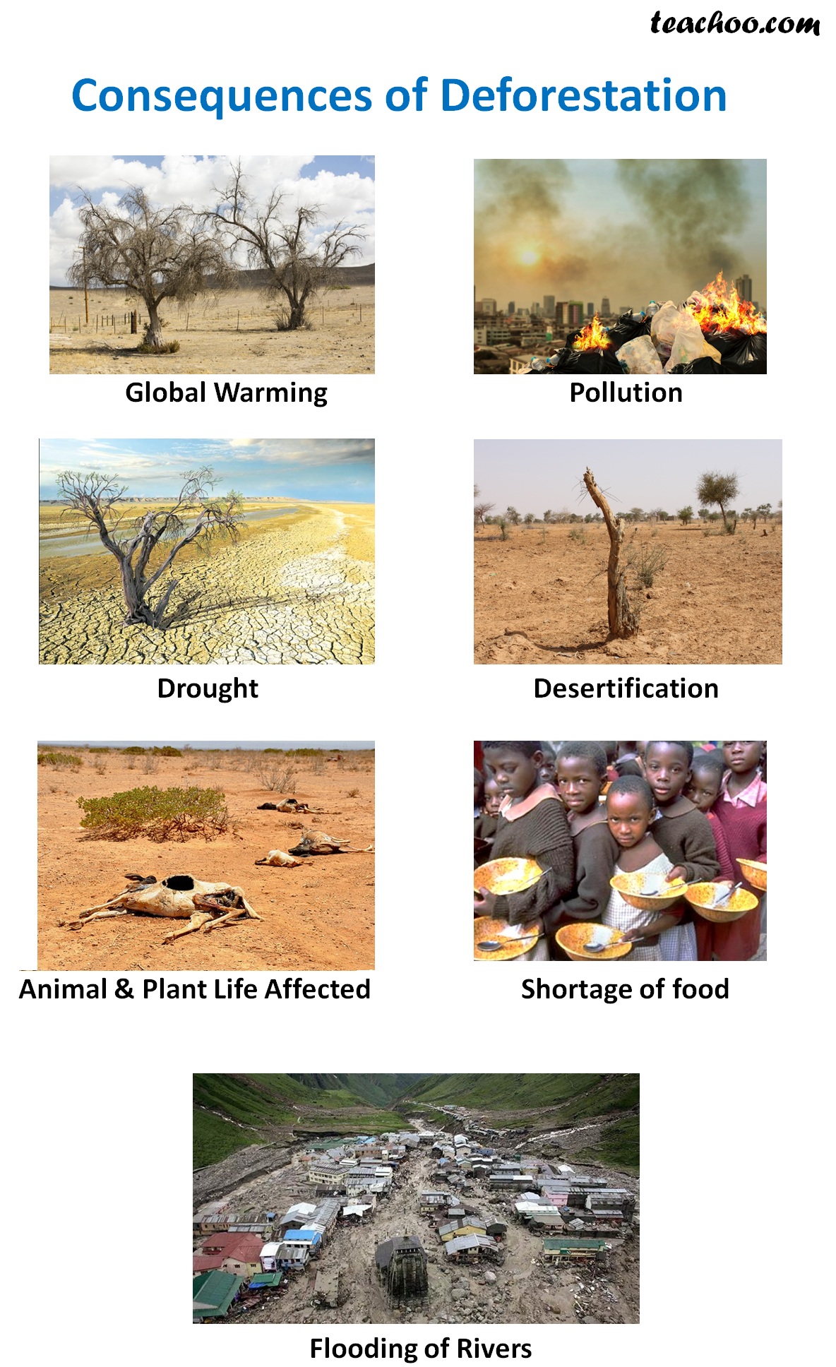 assignment on deforestation pdf