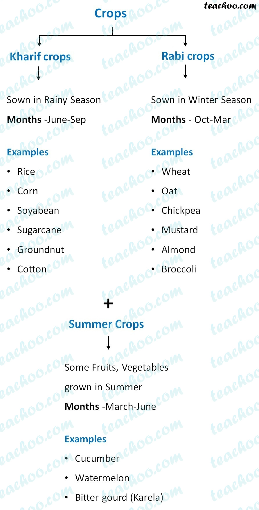 summary-of-different-types-of-crops (1).jpg