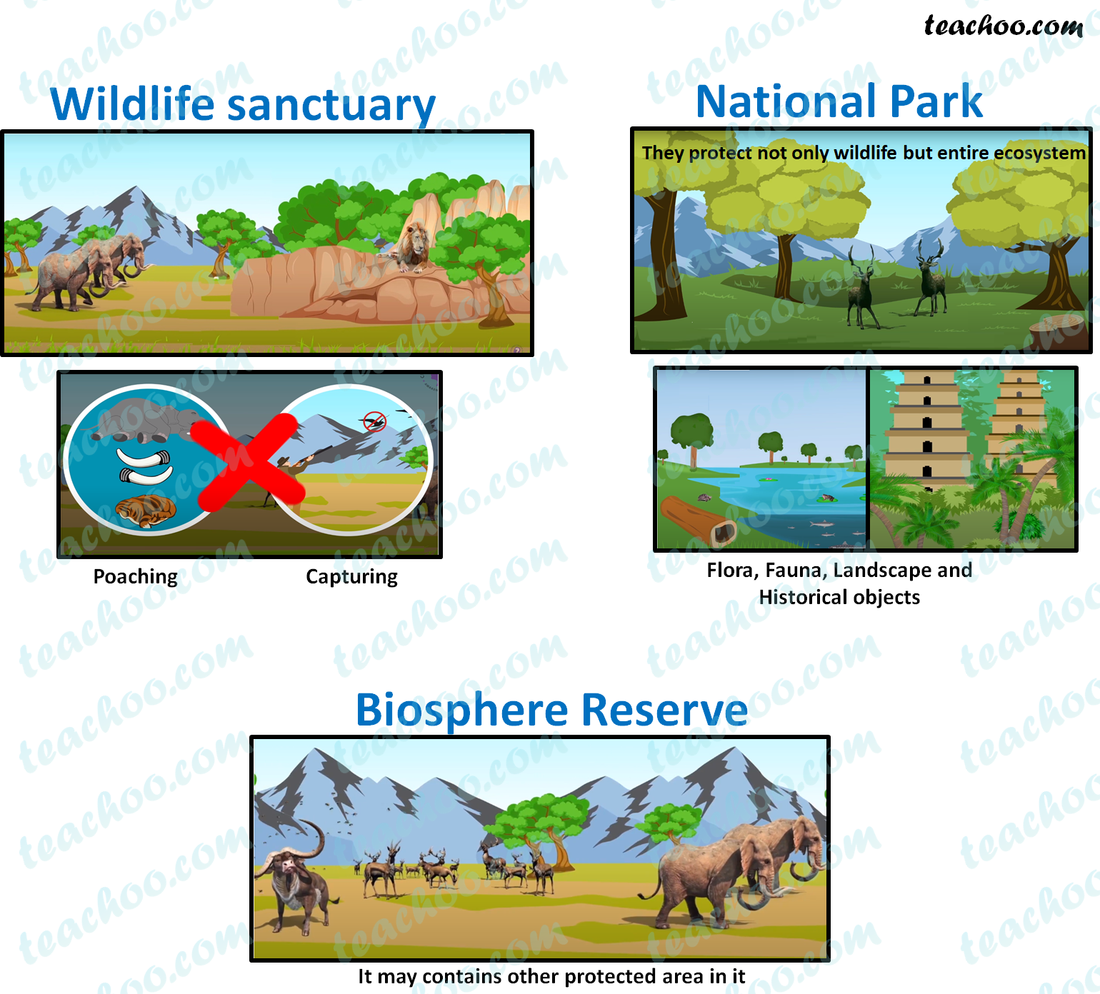 Wildlife Sanctuary, National Parks, Biosphere Reserve - Teachoo
