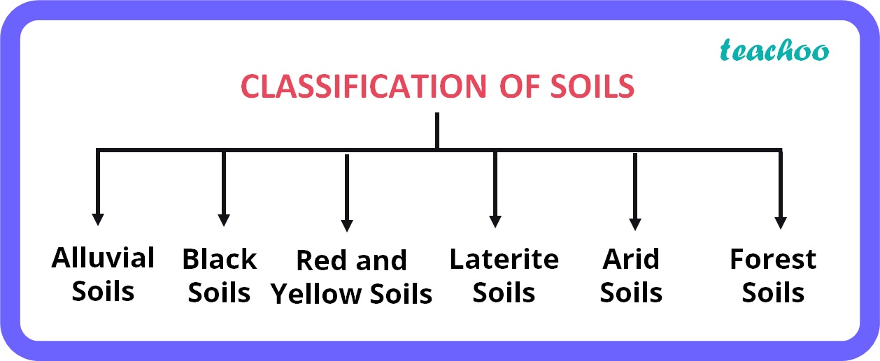 [Geography Class 10] Classification of soils & Different types of Soil