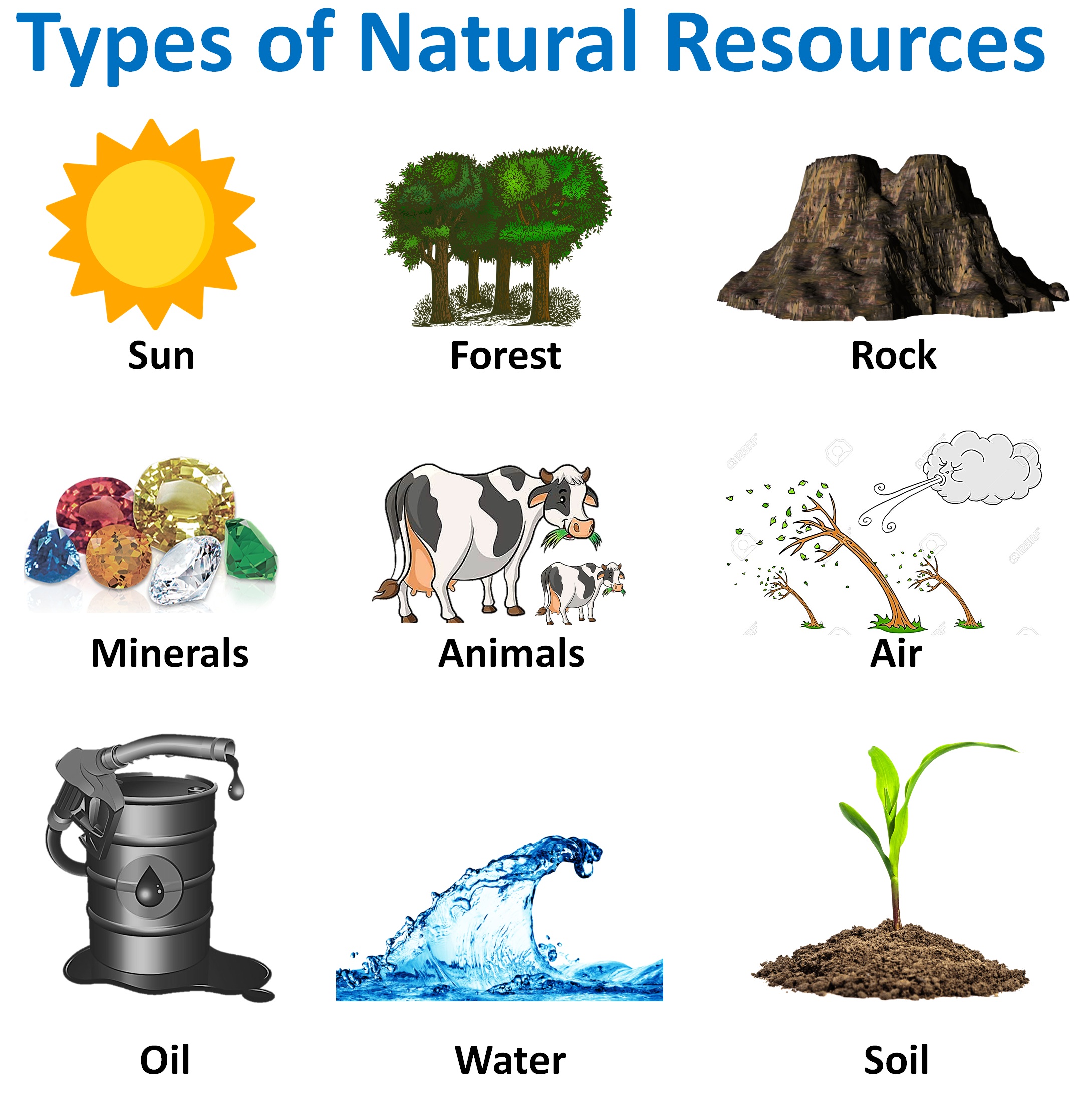 Examples Of Renewable Natural Resources