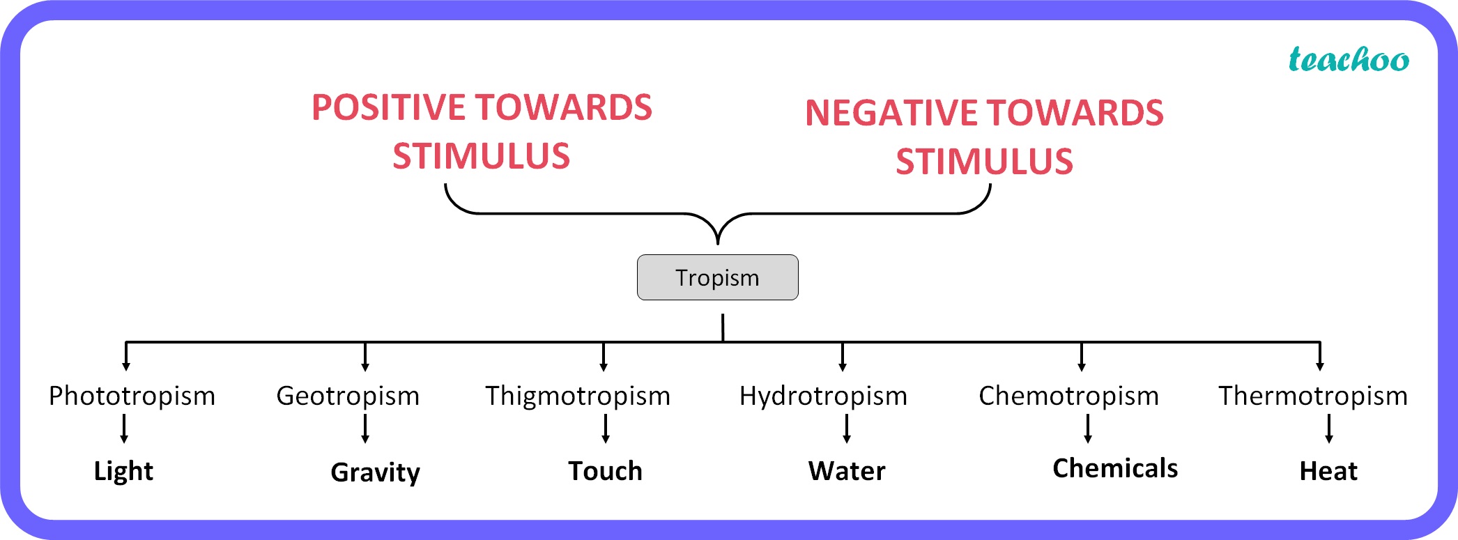 Tropic movements - Types, Examples [with Images] - Teachoo Class 10