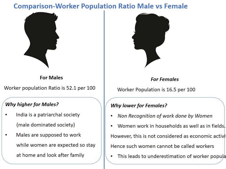 Comparison-Worker Population Ratio Male vs Female - Teachoo.JPG