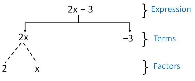 Three factor. Factors and terms. Factors of 246. Factors of 444. Factors of 315 in pairs.