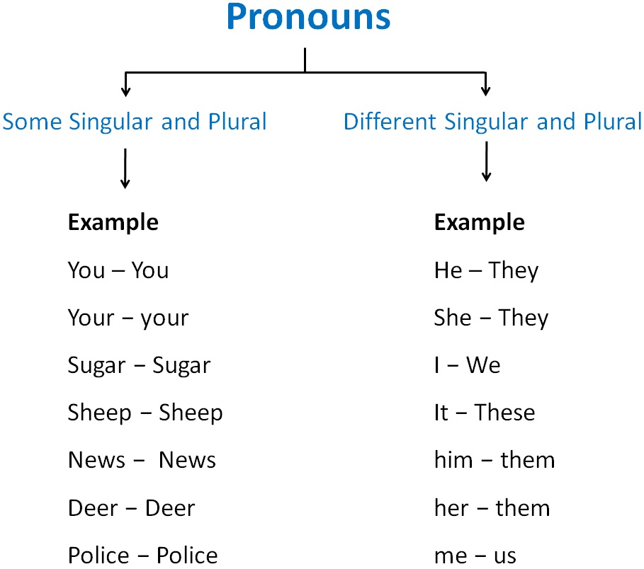 What Are Plural Of Different Pronouns Singular And Plural Nouns