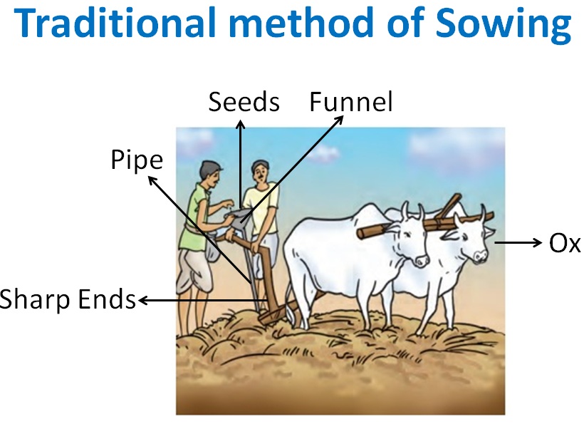 sowing-of-seeds-selection-different-methods-teachoo