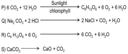 [MCQ - Class 10] Identify The Endothermic Reaction(s) Among - Teachoo