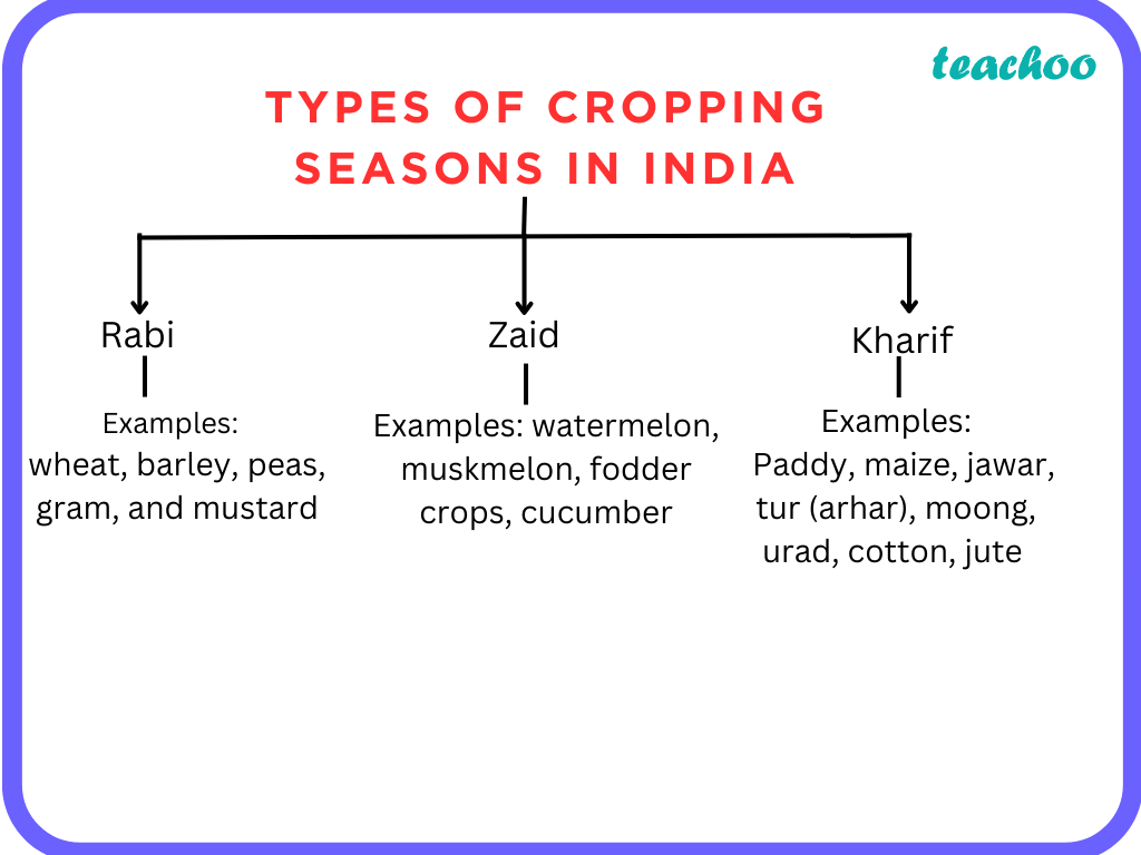 class-10-what-are-the-two-main-types-of-cropping-seasons-in-india